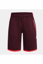 شورت و شلوارک پسرانه آندر آرمور Under Armour با کد 1361802
