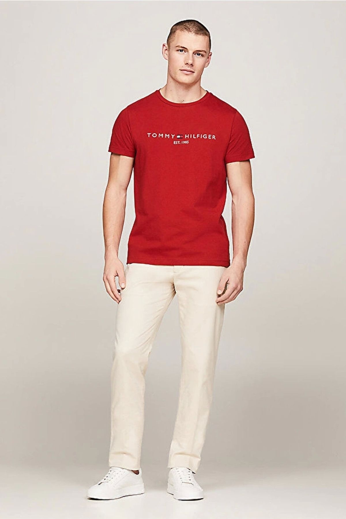 تیشرت مردانه تامی هیلفیگر Tommy Hilfiger با کد P50102S6794