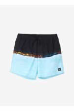 مایو یا شورت شنا مردانه کویک سیلور Quiksilver با کد 5003148220