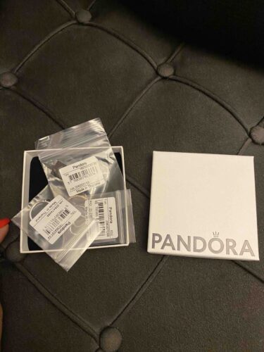گوشواره نقره زنانه پاندورا Pandora اورجینال 298307C00 photo review