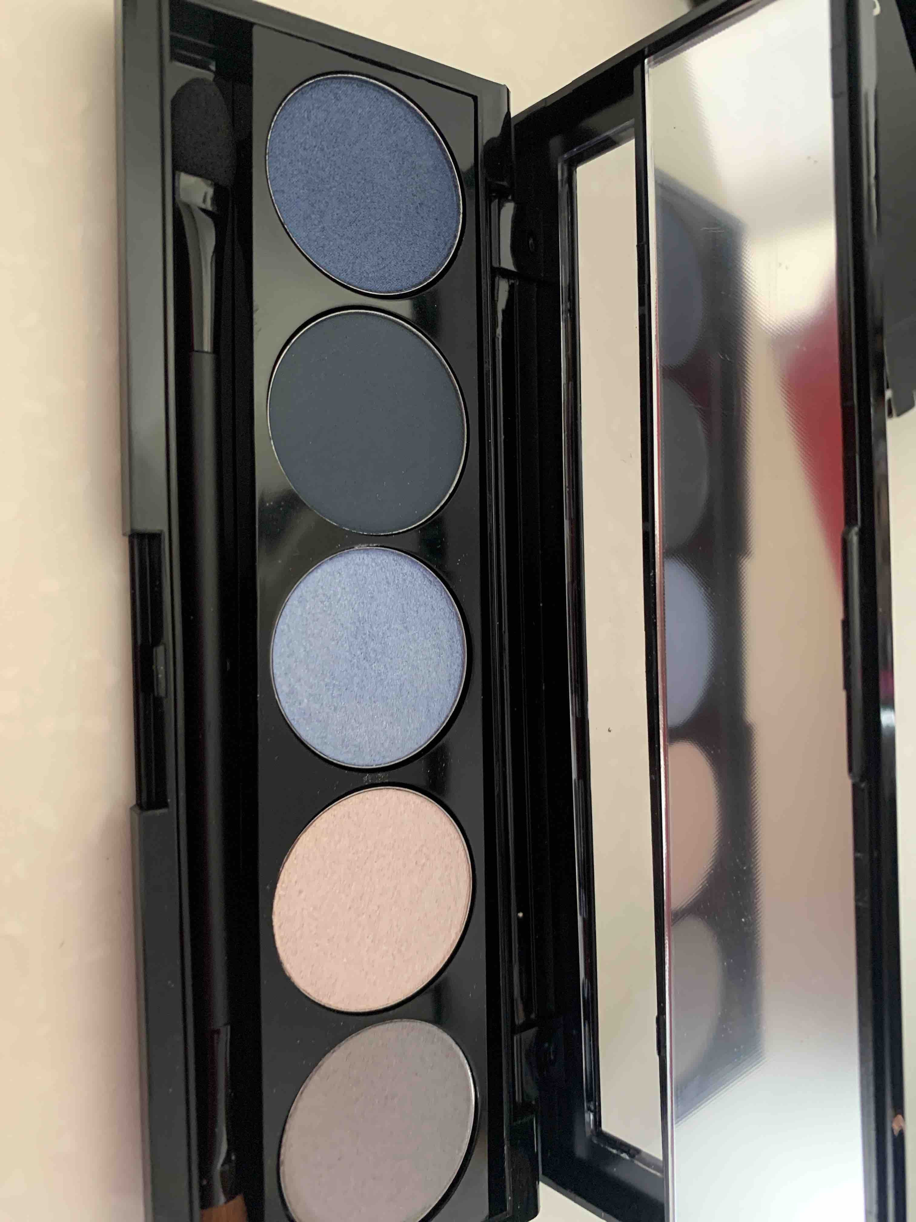 سایه چشم پیرکاردین اورجینال Pierre Cardin ECFL13284 Iconic Eyeshadow Palette Ocean Five photo review