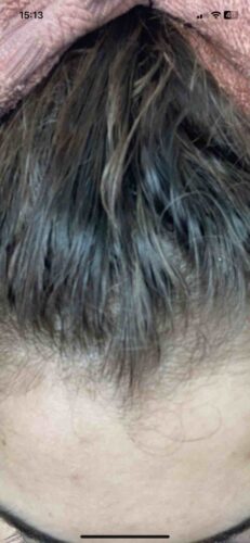 رنگ مو فیتو اورجینال Phyto 7004PH1001151AA Color Herbal Hair Dye - 8.1 Ash Blonde photo review