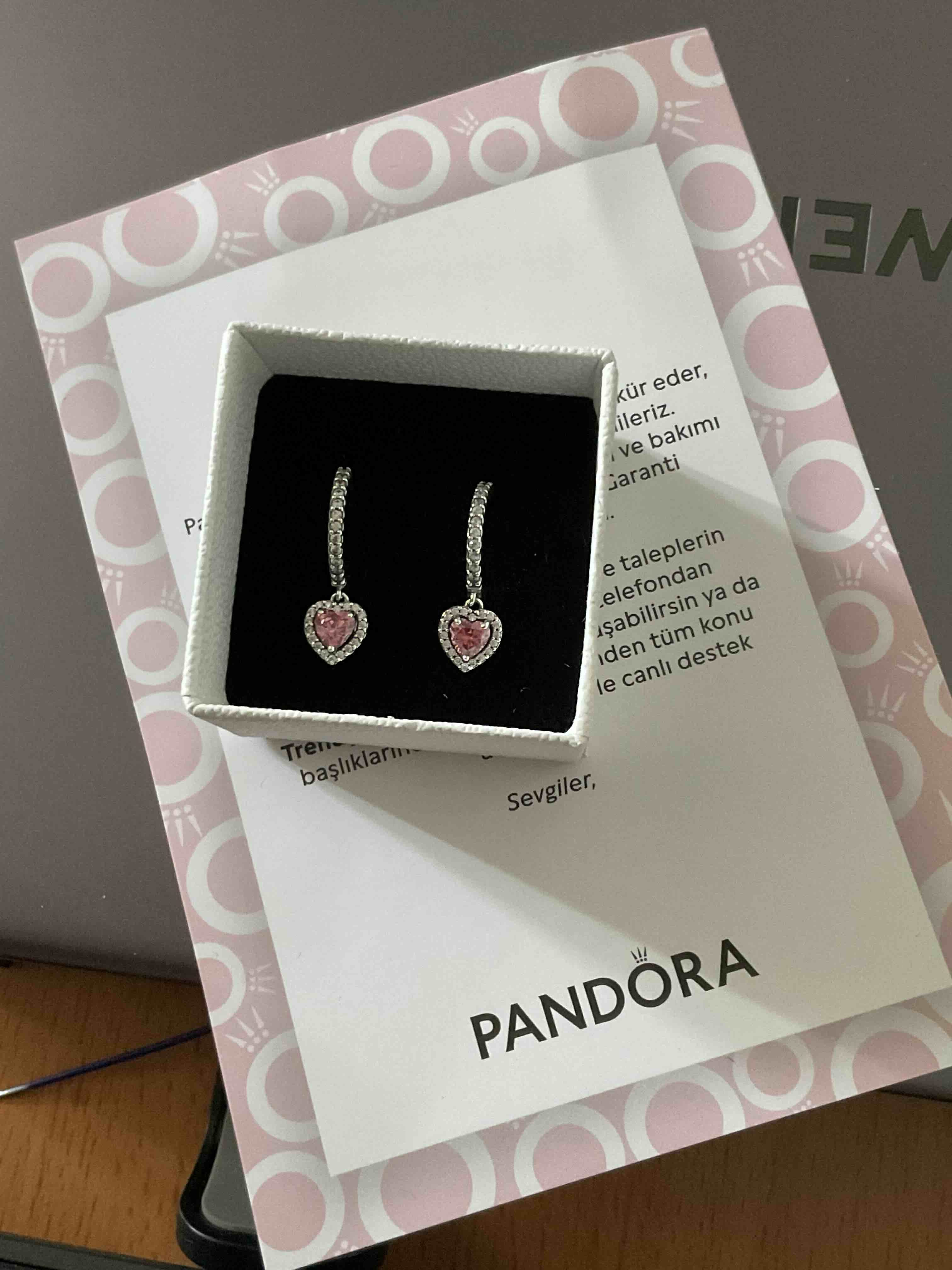 گوشواره نقره زنانه پاندورا Pandora اورجینال 291445C01 photo review