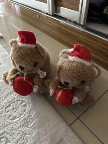 پاندوف تی ویگی اورجینال Twigy CC0627A Regalo Kids Animal Slippers Brown 30/35 photo review